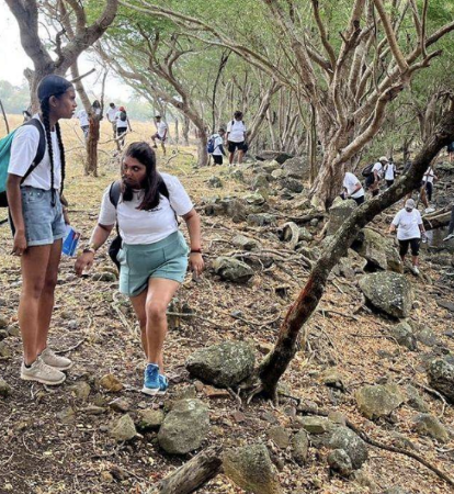 Mini Amazing Race — team activity in Mauritius