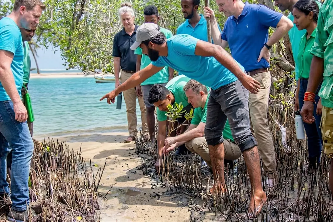 CSR Mangrove Restoration Challenge — event activity in Mauritius
